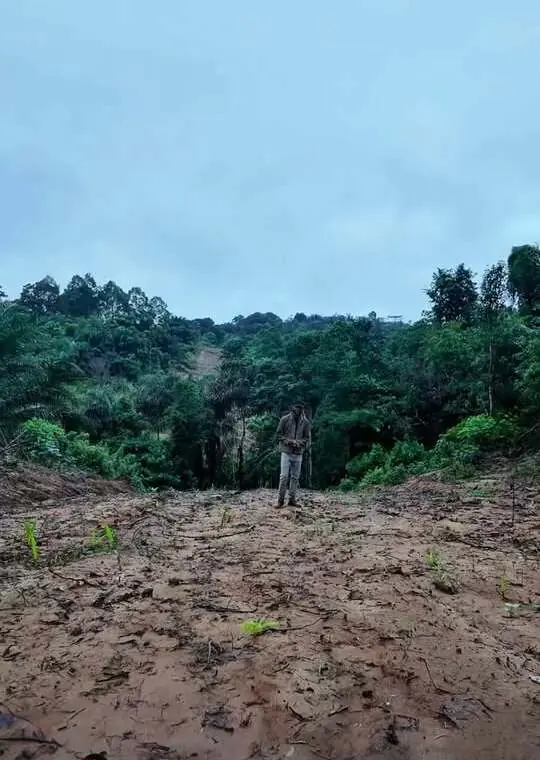Le terrain avant bornage